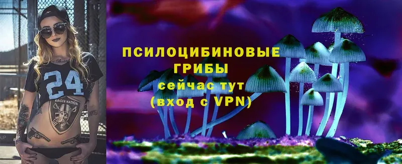 где продают наркотики  Байкальск  Галлюциногенные грибы мухоморы 